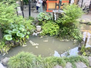龍神池